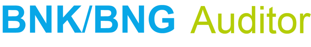 BNK/BNG Auditor Logo